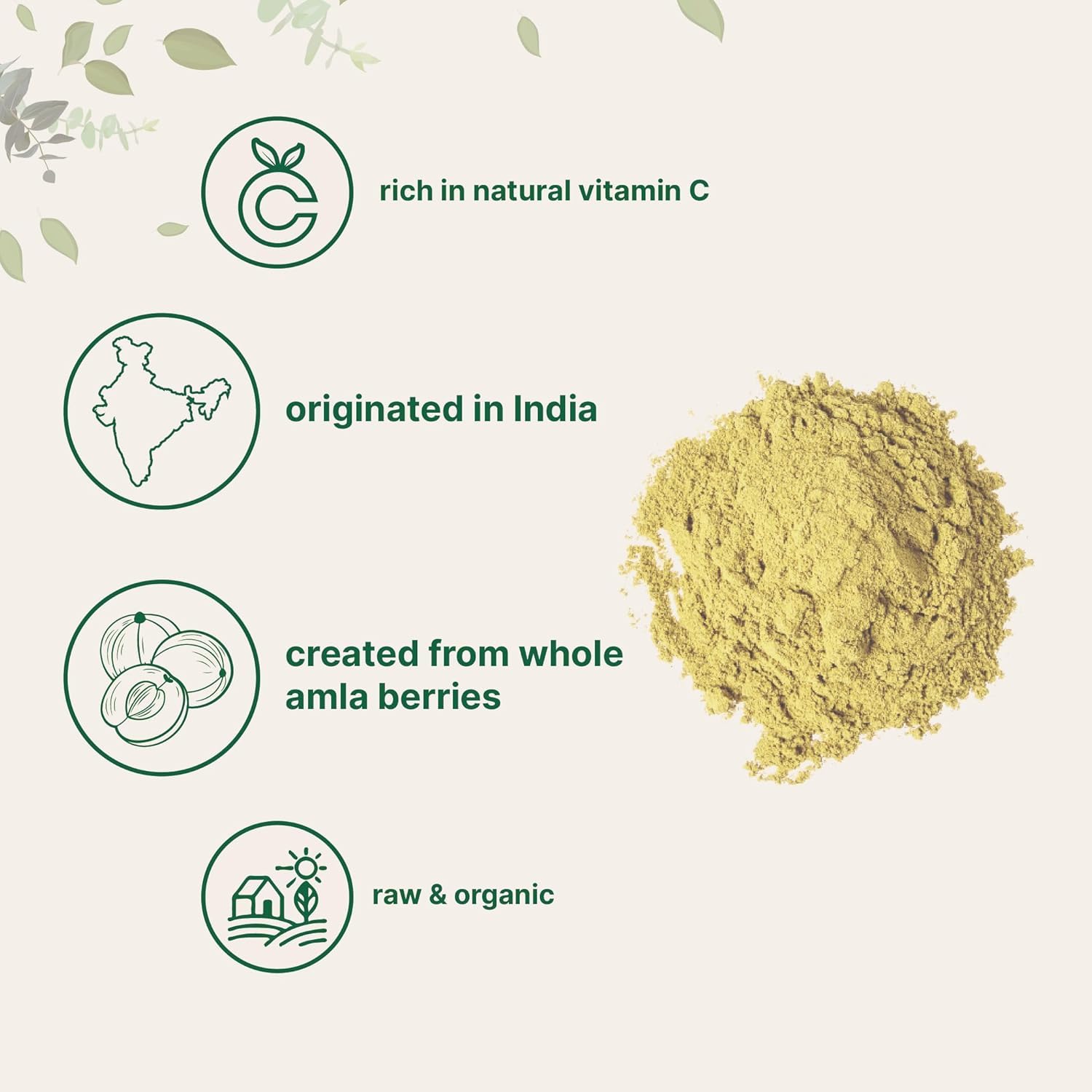 Organic Amla Powder 200g